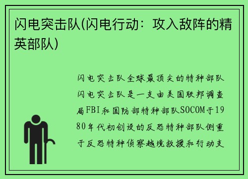闪电突击队(闪电行动：攻入敌阵的精英部队)