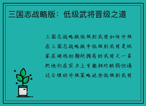 三国志战略版：低级武将晋级之道